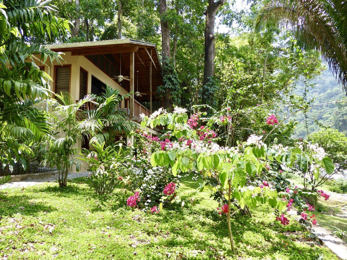 Villas Pico Bonito La Ceiba Exterior photo