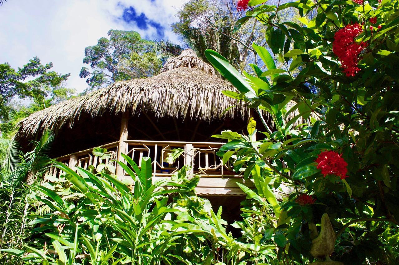 Villas Pico Bonito La Ceiba Exterior photo